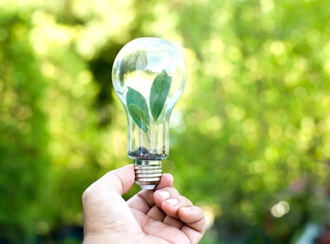 Hand holding a lightbulb with a plant inside, symbolizing green energy from biomass heating – Axinar