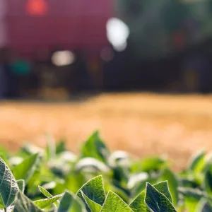 Agricultural Implements