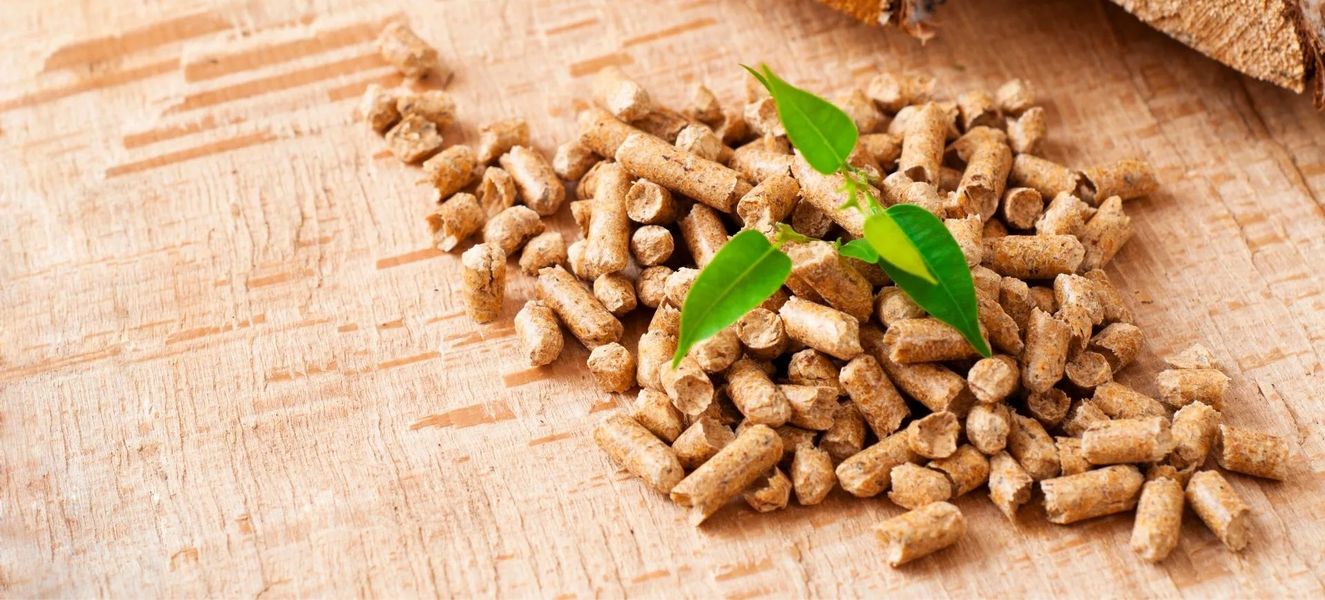 Οικολογικά ξύλινα pellets με φρέσκα πράσινα φύλλα σε ξύλινο φόντο, συμβολίζοντας την ανανεώσιμη ενέργεια – axinar.com