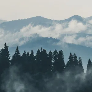 Pyrolino — Σόμπα Pellet & Ξύλου για Εξωτερικό Χώρο