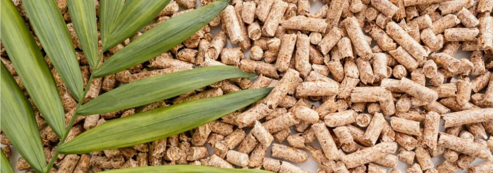 Ξύλινα πέλλετ βιομάζας με πράσινα φύλλα, κοντινή λήψη