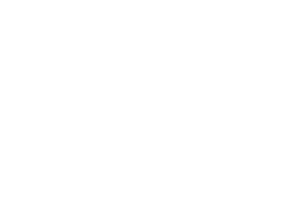 Ginox