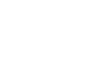 Kleemann