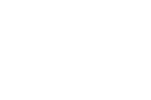 Nikoplex