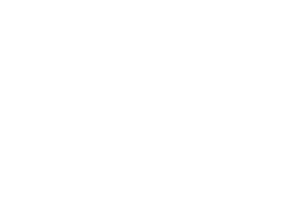 Salvagnini