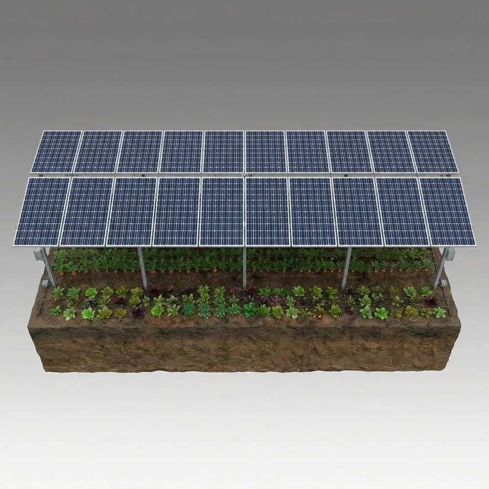 Agrivoltaic East-West ground mount system - Axinar dual orientation